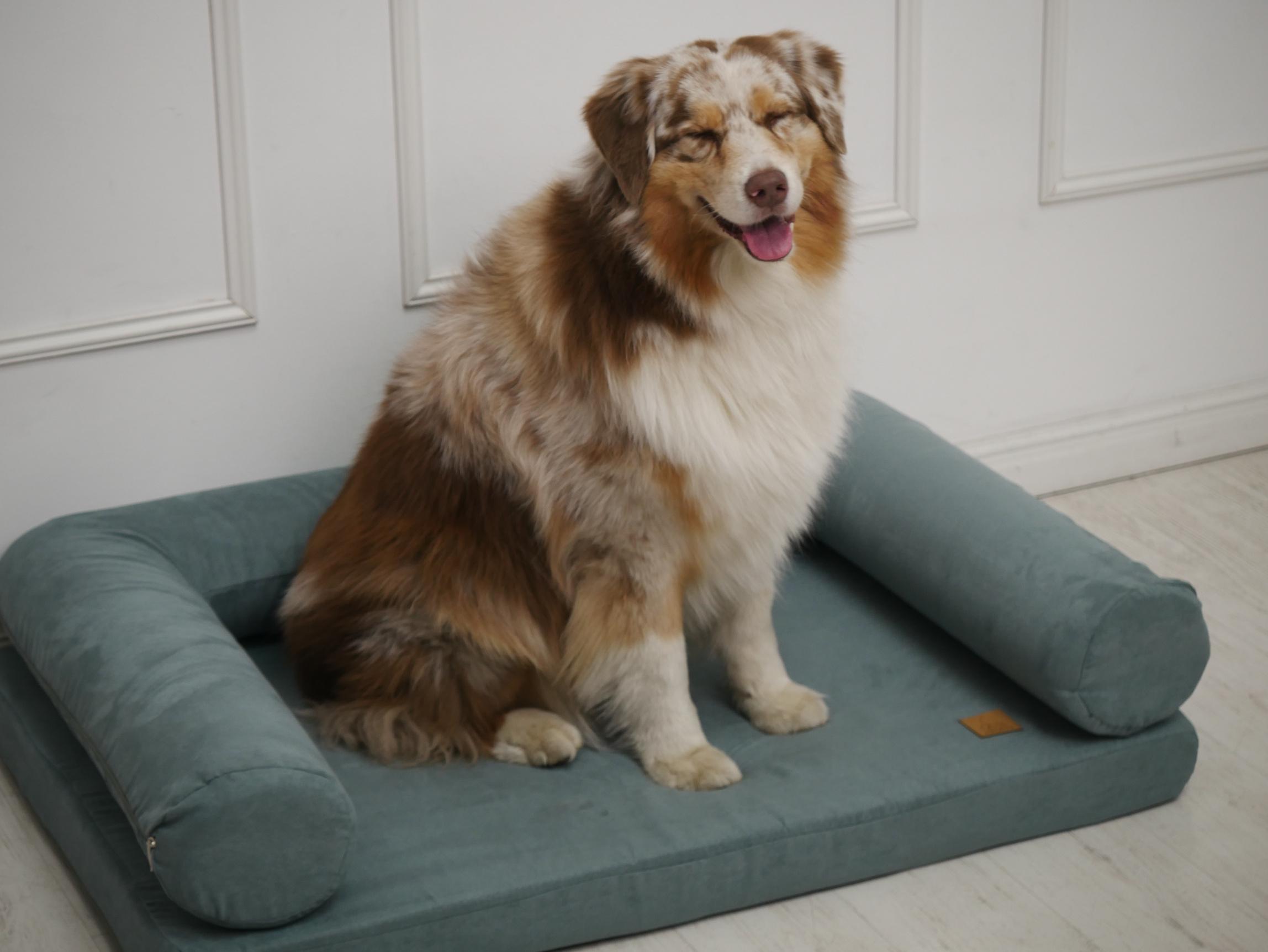 NobleDog